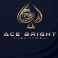 Profile picture of Ace Bright Logistics