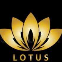 Profile picture of The Lotus 215 Logistics