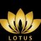 Profile picture of The Lotus 215 Logistics